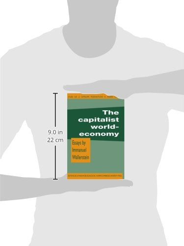 The Capitalist World-Economy (Studies in Modern Capitalism)