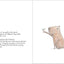 I am a Capybara by Fabbri, Michela