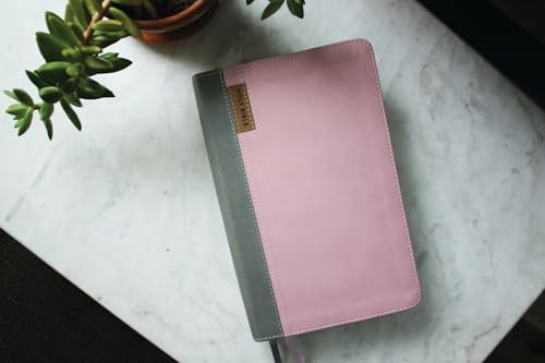NIV Application Bible, Personal Size, Leathersoft, Pink/Gray, Red Letter, Thumb Indexed, Comfort Print: Bringing the Ancient Message of the Bible into Your World