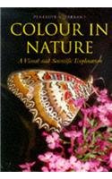 Color in Nature: A Visual and Scientific Exploration