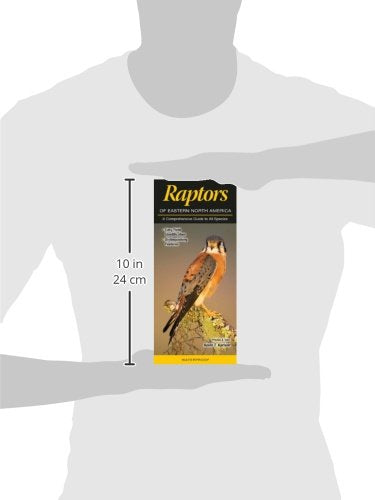Raptors of Eastern North America: A Comprehensive Guide to All Species