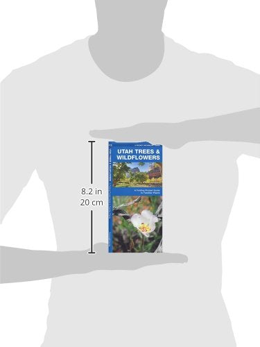 Utah Trees & Wildflowers: A Folding Pocket Guide to Familiar Plants (Wildlife and Nature Identification)