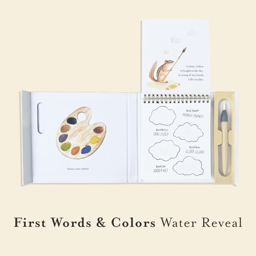 Wishy Washy (Water Reveal Edition): A Reusable Water Reveal Activity Book Teaching First Words and Colors (Tabitha Paige Children's Book Series)