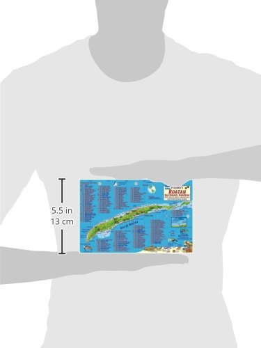 Roatan Honduras Dive Map & Reef Creatures Guide Franko Maps Laminated Fish Card