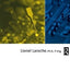 Managing Cultural Diversity in Technical Professions (Managing Cultural Differences Series)