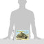 M5 Stuart Tank - Armor Walk Around No. 19