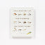 The History of Fly-Fishing in Fifty Flies