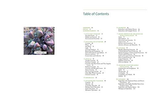 The Timber Press Guide to Succulent Plants of the World: A Comprehensive Reference to More than 2000 Species
