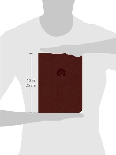 Reformation Study Bible (2015) ESV, Leather-Like Brick Red