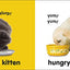 Baby Touch and Feel: Puppies and Kittens