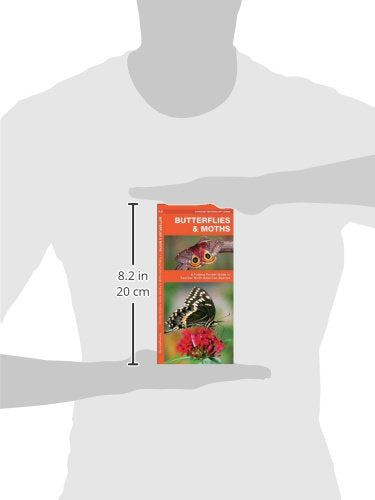 Butterflies & Moths: A Folding Pocket Guide to Familiar North American Species (A Pocket Naturalist Guide)