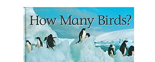 How Many Birds? (Counting)