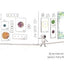 Peter Reynolds Creatrilogy Box Set (Dot, Ish, Sky Color) by