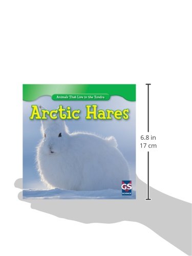 Arctic Hares (Animals That Live in the Tundra)