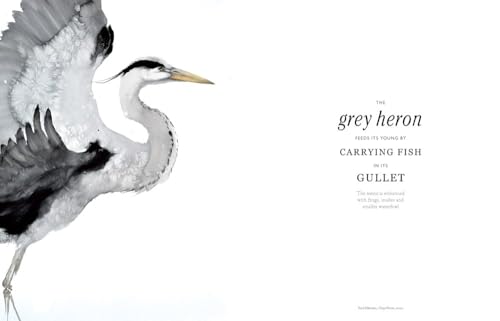 The Book of the Bird: Birds in Art