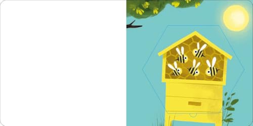 A Leaf Thief Book: What Color Is It? (The Leaf Thief)