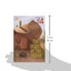 The Secret Of The Indian (Turtleback School & Library Binding Edition)