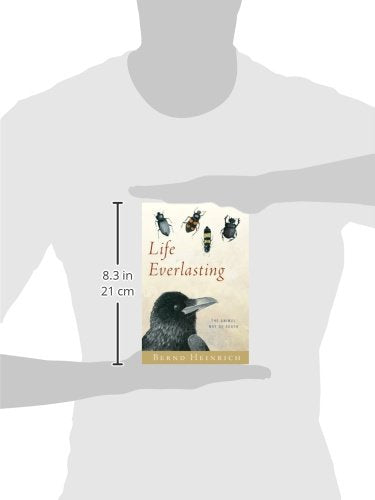 Life Everlasting: The Animal Way of Death by Heinrich, Bernd