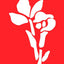 Fun With Wildflowers Stencils (Dover Little Activity Books: Flowers)