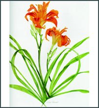 Watercolour Flower Portraits