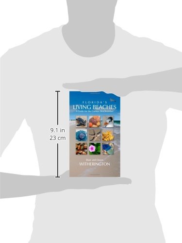Florida's Living Beaches: A Guide for the Curious Beachcomber