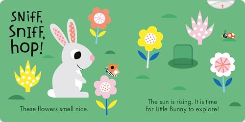 Hop, Hop!: Slide-and-Seek
