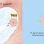 Where Willy Went...: The Big Story of a Little Sperm!
