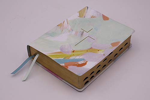 The Jesus Bible Artist Edition, ESV, (With Thumb Tabs to Help Locate the Books of the Bible), Leathersoft, Multi-color/Teal, Thumb Indexed