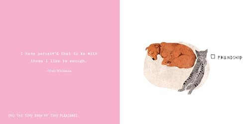 The Tiny Book of Tiny Pleasures (Flow)