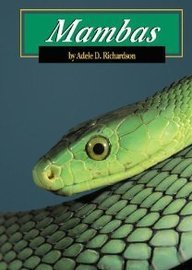 Mambas (Snakes)