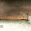 House Held Up by Trees by Ted Kooser