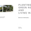 Planting Green Roofs and Living Walls by Dunnett, Nigel