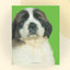 Bright Baby Touch & Feel Perfect Pets (Bright Baby Touch and Feel)