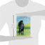 Selah's Sweet Dream (Dream Horse Adventures)
