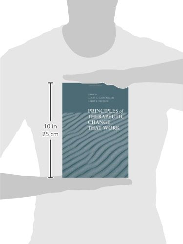 Principles of Therapeutic Change that Work (Oxford Series in