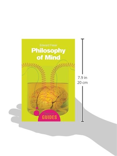 Philosophy of Mind (A Beginners Guide)