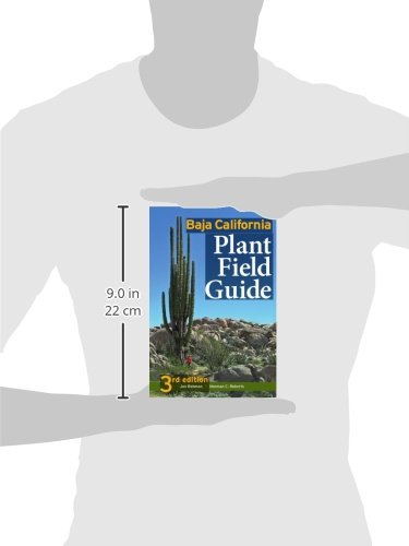 Baja California Plant Field Guide