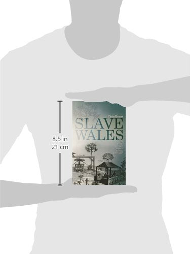 Slave Wales: The Welsh and Atlantic Slavery, 1660-1850