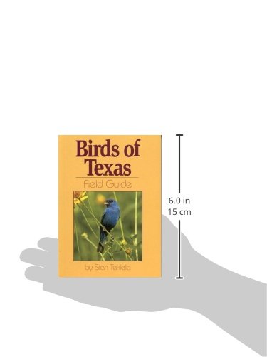 Birds of Texas Field Guide (Bird Identification Guides)
