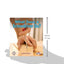 What Does a Screwdriver Do? (First Step Nonfiction - Tools at Work)