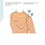 Sleeves: A Directory of Design Details and Techniques (Select-n-Stitch)