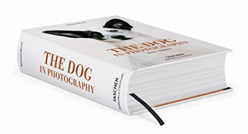 The Dog in Photography / Der Hund In Der Fotografie / Le Chien Dans La Photographie: 1839-today