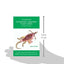 Veterinary Anatomy Flash Cards