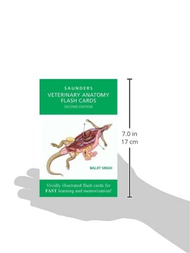 Veterinary Anatomy Flash Cards