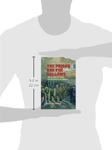 The Prison and the Gallows: The Politics of Mass Incarceration in America (Cambridge Studies in Criminology)