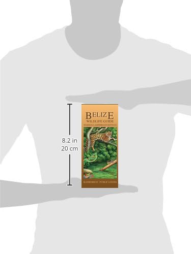 Belize Wildlife Guide - Mammals, Reptiles, Amphibians (Laminated Foldout Pocket Field Guide) (English and Spanish Edition)