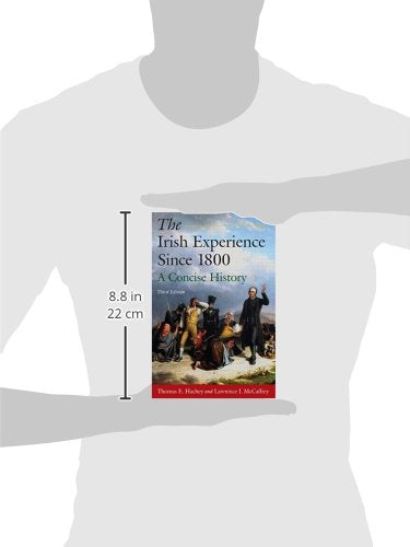 The Irish Experience Since 1800: A Concise History