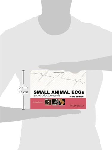 Small Animal ECGs: An Introductory Guide
