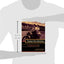Taiwan Film Directors: A Treasure Island (Film and Culture Series)