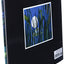 Tuesday (Caldecott Medal Book) by David Wiesner